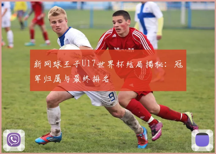 新网球王子U17世界杯结局揭秘:冠军归属与最终排名