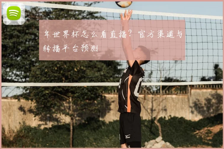 年世界杯怎么看直播？官方渠道与转播平台预测