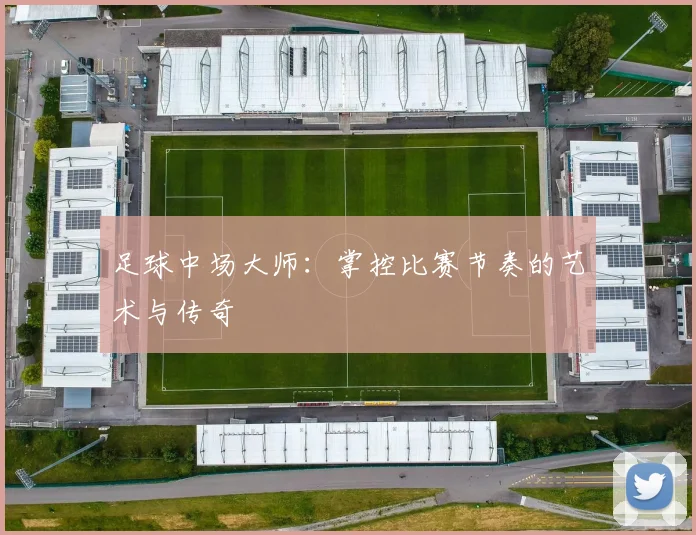 足球中场大师:掌控比赛节奏的艺术与传奇